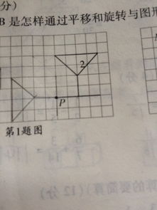 数字平移设计方案[以数字,图形平移旋转为主题画一幅画]