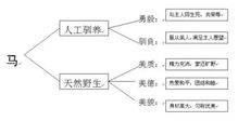 设计方案不会写[设计方案要写什么]