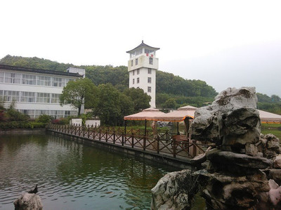 阳山农家乐设计,阳山农家乐一日多少钱